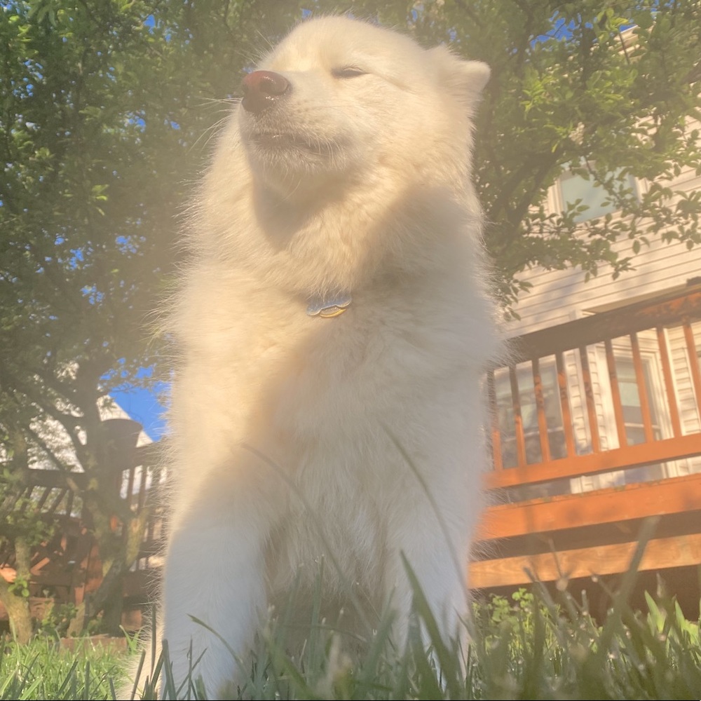 Meet your Posher, Eliana